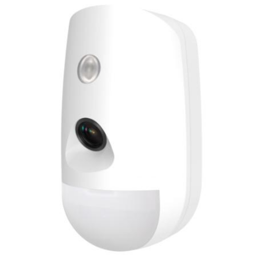 Wireless PIR-Camera Detector